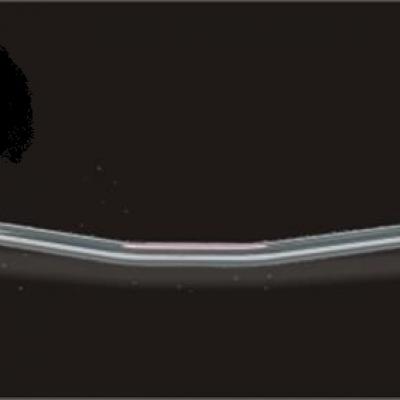 Guidon type 